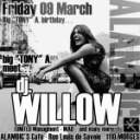 willow.JPG